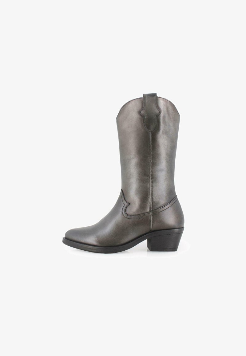 Bota de cowboy de cuero gris con punta afilada, detalles de costura y una pestaña en el eje. Cuenta con un tacón bajo cuadrado para mayor soporte.