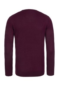 Vinröd stickad tröja med långa ärmar, rund halsringning och en slät textur. Bakifrån syns en klassisk, figurnära silhuett.