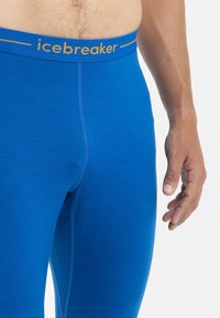 icebreaker MERINO 200 MID WEIGHT ZONEKNIT - Kalesony