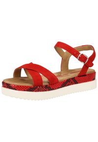 s.Oliver S.OLIVER SANDALEN - Platform sandals - red/snake 507