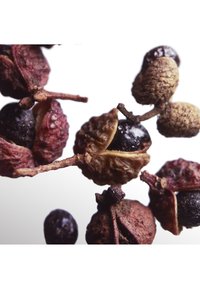 Thumbnail Image 8
