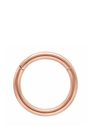 Circular rose gold hoop earring with a smooth, polished surface and a hinged closure, shown against a white background.
