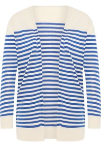 Cardigan a righe blu e bianche, materiale in maglia morbida, design frontale aperto, maniche lunghe, con righe orizzontali uniformemente distanziate.