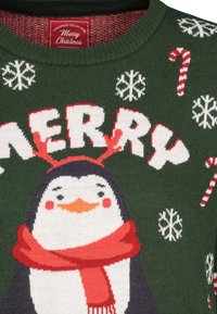 Grüner gestrickter Weihnachtspullover mit einem Pinguin, der einen roten Schal trägt, Schneeflocken, Zuckerstangen und dem Schriftzug "Merry" in großen weißen Buchstaben.