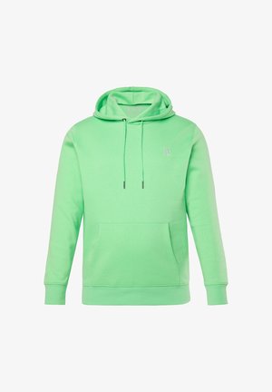 Lysegrøn pullover-hoodie med forlomme, snørrehætte, ribbede ærmegab og diskret "JP"-logo på brystet.