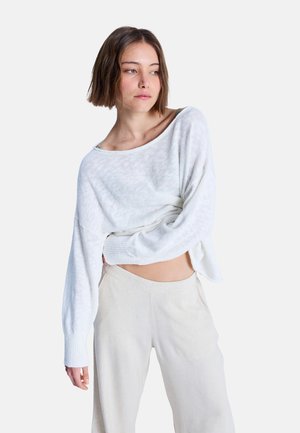 PULLOVER - Strickpullover - wza