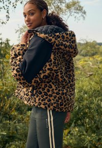 Next REGULAR FIT TEDDY BORG - Zimná bunda - animal print