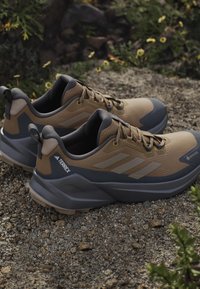 Brown and gray hiking shoes with a textured upper, elongated shape, and rubber sole, featuring a Gore-Tex label and logo accents.