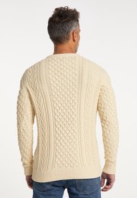 Cremfarbener Kabelstrickpullover mit strukturierten Mustern, gerippten Bündchen und Saum, der ein gemütliches, gestricktes Design zeigt, von hinten betrachtet.