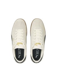 Puma Zapatillas de entrenamiento - marshmallow puma black puma team gold