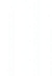 Valge ristkülikukujuline pind õrna vertikaalse tekstuuriga. Muud tunnusjooned ega märkimisväärsed detailid puuduvad.