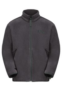 Veste en polaire grise avec col montant, fermeture éclair intégrale et accents verts. Présente un logo sur la poitrine gauche et des poignets contrastés. Texture douce.