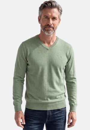 Mittelalter Mann mit grauem Haar und Bart, trägt einen hellgrünen V-Ausschnitt-Pullover und dunkelblaue Jeans, steht vor einem schlichten Hintergrund.