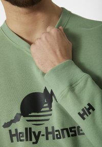 Sudadera verde con un gráfico negro redondo que presenta líneas horizontales y picos, y el texto "Helly-Hansen" debajo. Puños y cuello de canalé.