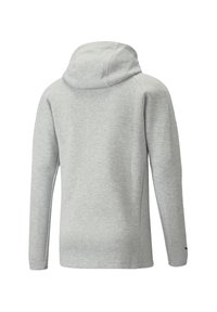 Puma TEAMSPORT TEAMFINAL CASUALS - Sweatjacke - grau