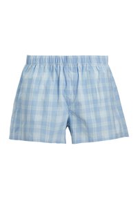 Light blue and white plaid men's boxer shorts with an elastic waistband on a white background.