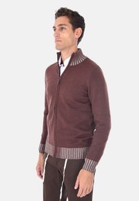Maglione marrone con zip, dotato di colletto e polsini a righe in contrasto, realizzato in un materiale morbido. La chiusura con zip e il design aderente esaltano la silhouette.