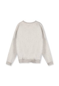 Lichtgrijze sweatshirt met een ronde hals, lange mouwen, geribbelde manchetten en zoom. Zachte textuur met een subtiel, licht gemêleerd patroon.