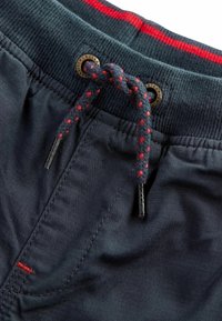 Next LINED PULL ON STANDARD - Stoffhose - navy blue