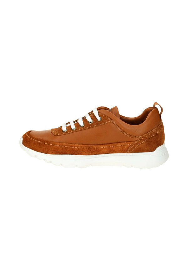 JENSEN C3 - Sneaker low - cuero bark