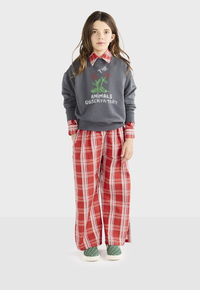 Felpa grigia con grafica floreale, pantaloni a palazzo a quadri rossi e scarpe verdi a pois. Outfit casual con motivi e colori contrastanti.