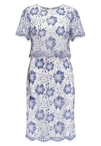 Robe en dentelle présentant un motif floral en bleu et blanc. Manches courtes, ourlet festonné et texture semi-transparente rehaussent le design.