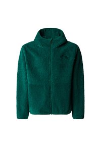 The North Face CAMPSHIRE - Forro polar - evergreen