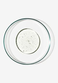 Piatto di vetro trasparente contenente un gel circolare e translucido con piccole bolle, posizionato su uno sfondo bianco.