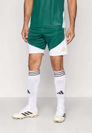 FIGC ITALY TRAINING SHORT - Ένδυση εθνικής ομάδας - collegiate green