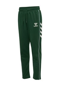 Grüne Sporthosen aus glattem Stoff mit weißen Streifen an den Seiten, einem elastischen Bund und einem Logo auf der Vorderseite.