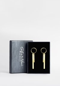 Guldörhängen med två vertikala rektangulära hängen hängande från runda ringar, förpackade i en svart sammetstoppad låda.