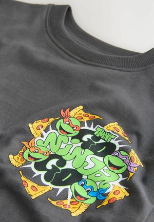 Tricou gri cu mânecă scurtă, featuring un grafic colorat cu patru țestoase, felii de pizza și text stilizat în centru. Material din bumbac moale.