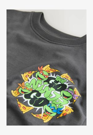 T-shirt grigio a maniche corte con una grafica colorata raffigurante quattro tartarughe, fette di pizza e testo stilizzato al centro. Tessuto di cotone morbido.