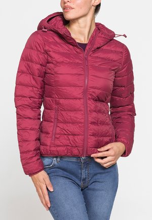 Carrera Jeans, PADDED JACKET WATER-RESISTANT - Giacca invernale - burgundy
