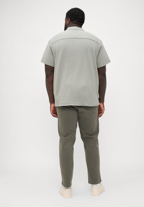 JPRBLALEO STRUCTURE RESORT - Shirt - dried sage4