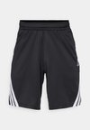 3-STRIPES  - Krótkie spodenki sportowe