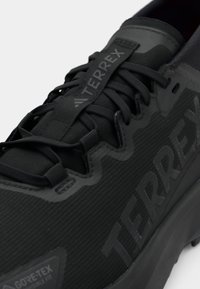 Schwarzer Sportschuh mit einer strukturierten synthetischen Oberfläche, verfügt über ein auffälliges "TERREX"-Logo, Schnürsenkel und GORE-TEX-Branding.