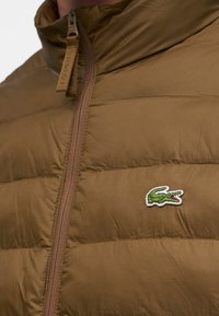 Veste matelassée marron avec fermeture éclair centrale et logo crocodile vert brodé sur la poitrine gauche.