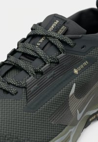 Gros plan sur une chaussure de course Nike Pegasus Trail 5 noire et grise avec des lacets réfléchissants et une étiquette imperméable Gore-Tex sur le côté.