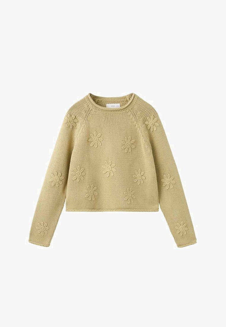 Pull en tricot vert clair avec un col rond et des manches longues. Présente des motifs floraux brodés sur le devant. Tissu texturé.