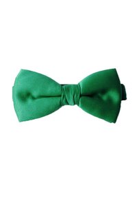 Nœud papillon en satin vert au toucher lisse, avec un nœud central et une forme de nœud classique. Convient aux occasions formelles.