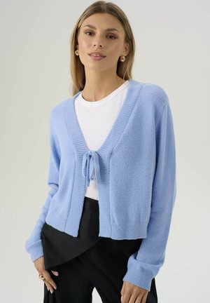Jonge vrouw in een lichtblauwe gebreide cardigan, geknoopt op de borst, over een wit shirt en zwarte broek, poserend tegen een neutrale achtergrond.