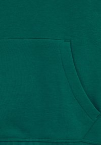 WE Fashion Jersey con capucha - green