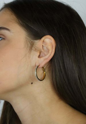 Profilo laterale di una donna con lunghi capelli scuri, che indossa un orecchino a cerchio dorato con piccoli cristalli incastonati sul bordo esterno.