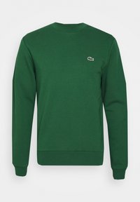 LIFESTYLE UNISEX - Športni pulover - vert