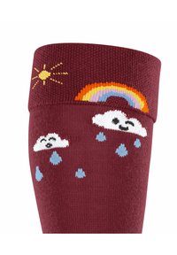 FALKE Active Rainboot - Kniekousen - ruby