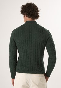 Grüner Strickpullover mit Kabelmuster, hohem Kragen und langen Ärmeln. Engmaschige Textur und Rippbündchen. Von hinten betrachtet.