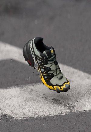 Salomon SPEEDCROSS 6 - Trail running shoes - wrought iron/black/incaberry