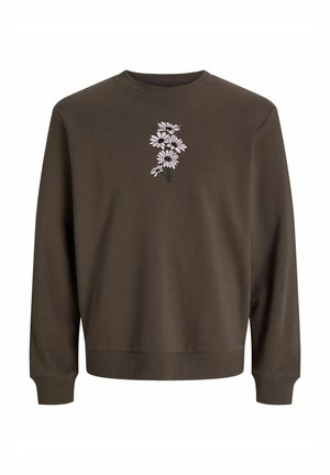 Brūns džemperis ar apaļu kakla izgriezumu un garām piedurknēm, ar rozā ziedu izšuvumu centrā priekšpusē. Mīksts materiāls ar ribotām piedurkņu malām.