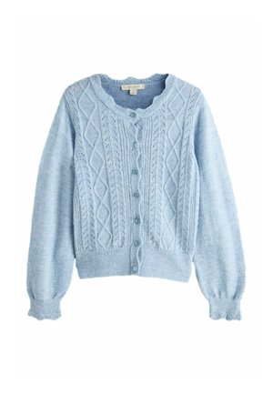 REGULAR FIT - POINTELLE BUTTON THROUGH SCALLOP WITH A TOUCH  - Strickjacke - blue